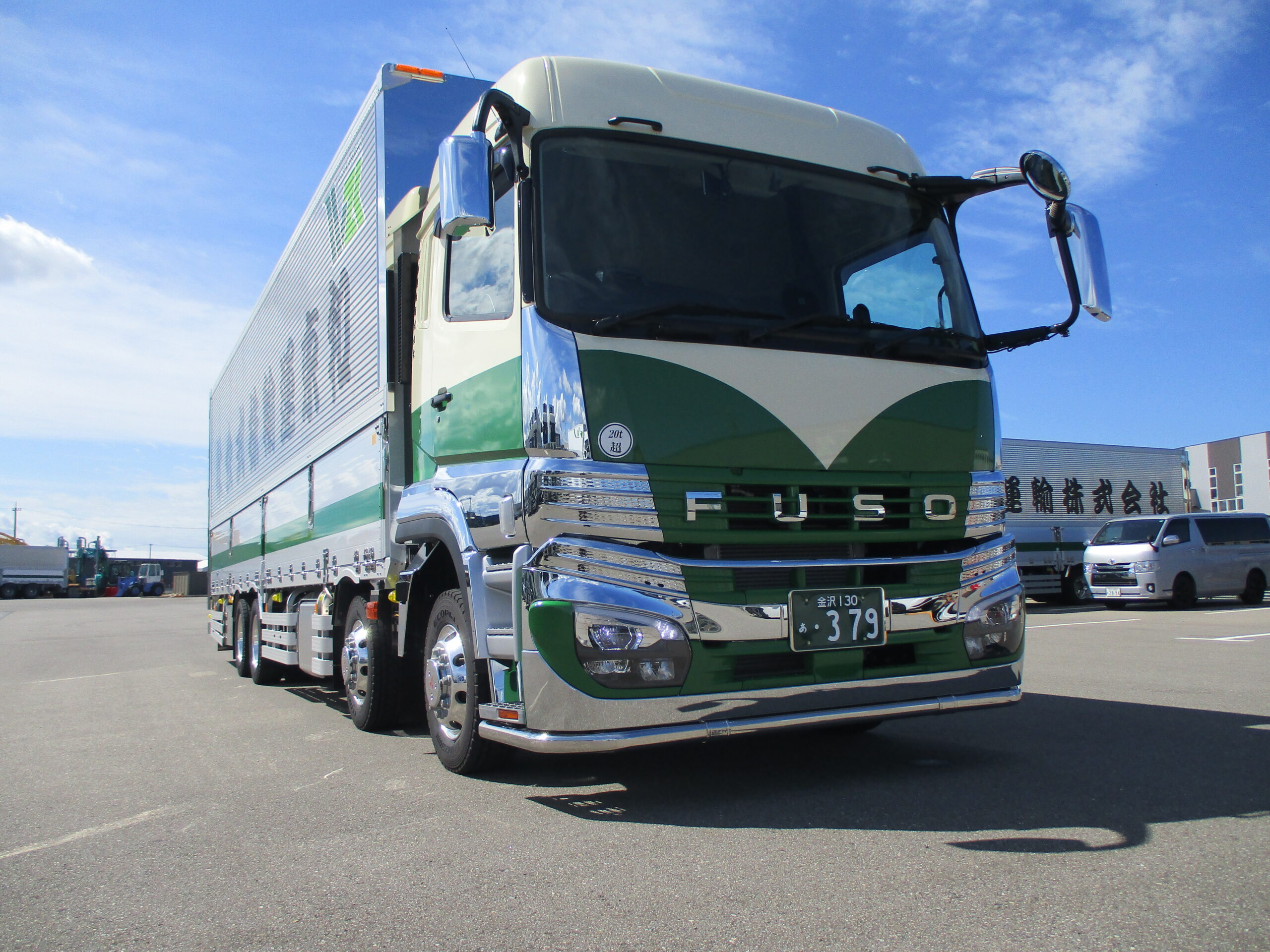 ➅ 金運UP イワヒバ 首長最上株物 超多株20多幹30年以上物 ➅ 金運